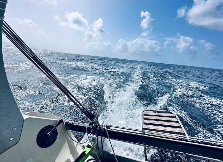 Picture 1 for Activity Guadeloupe: Ti-Bo Sailboat Ecological Tour in lagoon