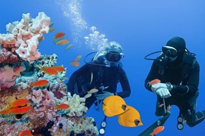 3-Day PADI Open Water Diving Course with Pickup - Sharm El Sheikh