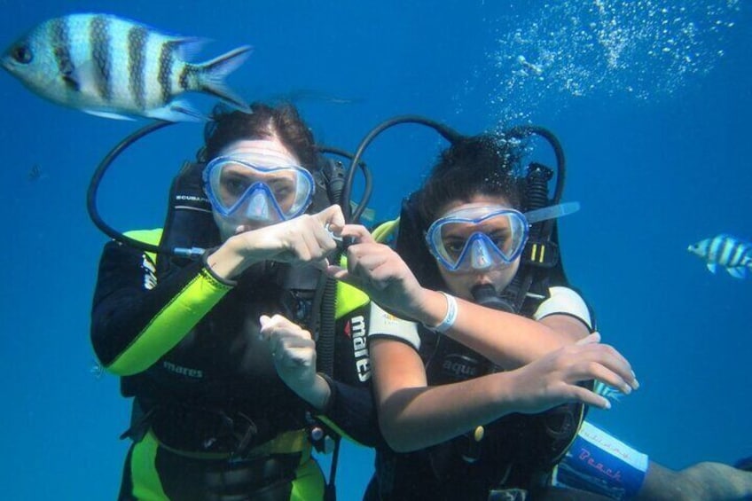 3-Day PADI Open Water Diving Course with Pickup - Sharm El Sheikh