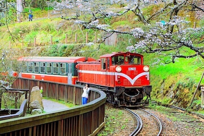 Fenqihu Old Street and Alishan Exclusive Complimentary Day Tour