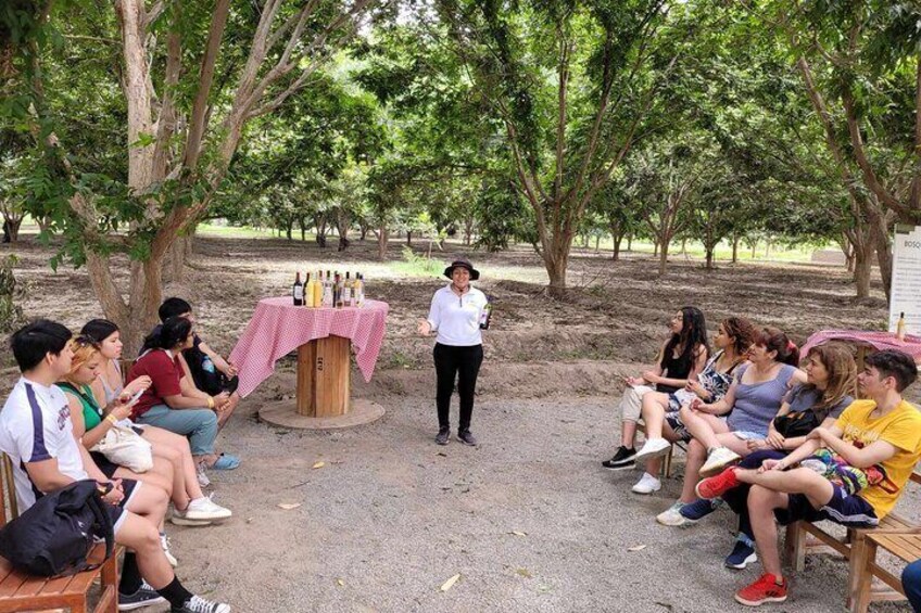 Pisco Tasting and Buggies with Sandboarding