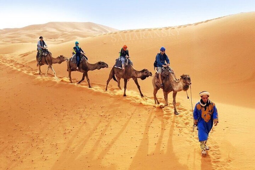 Tunisia Sahara Desert Camel Ride in Douz
