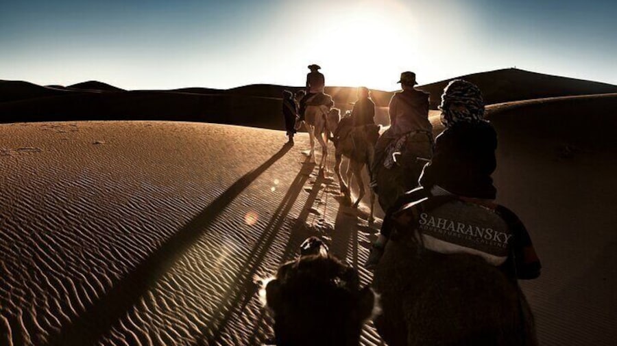 Tunisia Sahara Desert Camel Ride in Douz