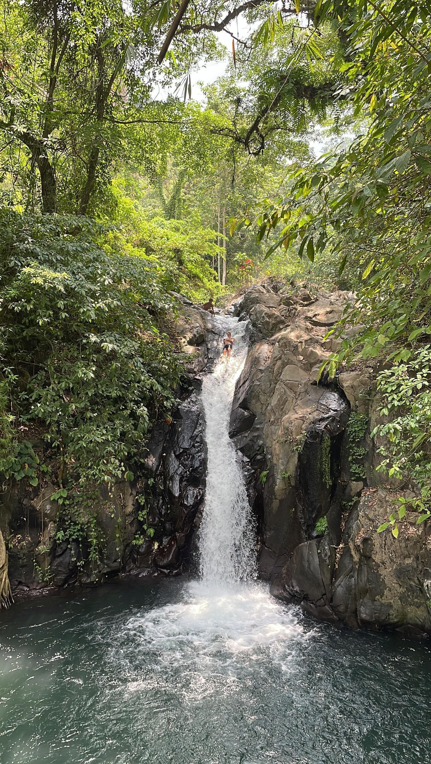 Picture 2 for Activity From North Bali: Aling Aling Waterfall and Blue Lagoon Tour