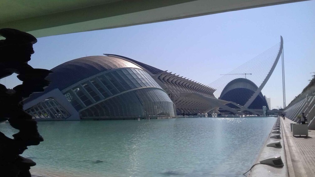 Picture 7 for Activity The City of Arts and Sciences in Valencia