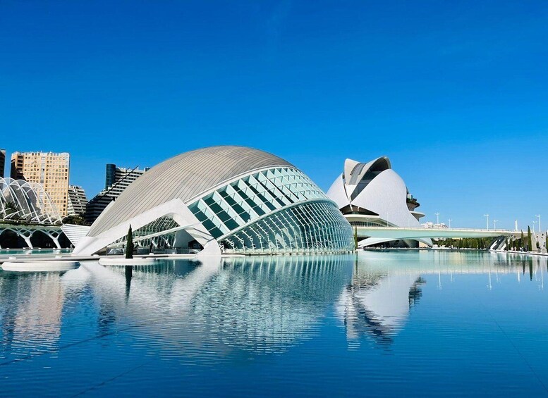 Picture 1 for Activity The City of Arts and Sciences in Valencia