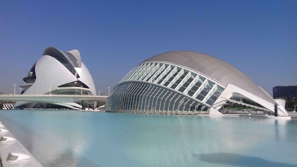 Picture 6 for Activity The City of Arts and Sciences in Valencia