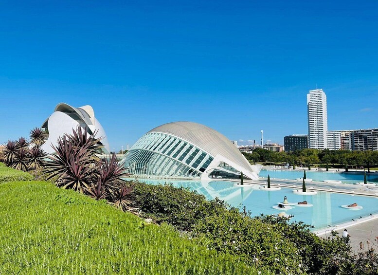 The City of Arts and Sciences in Valencia
