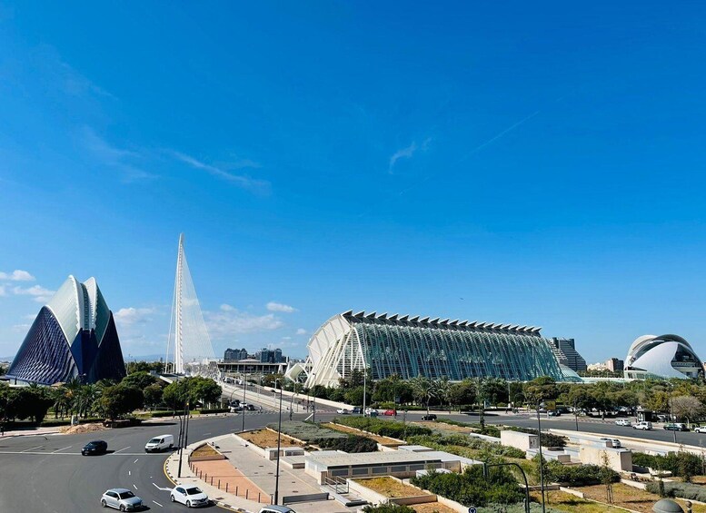 Picture 4 for Activity The City of Arts and Sciences in Valencia