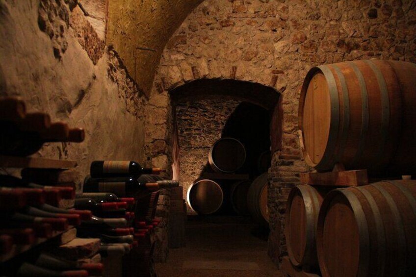 Verona - Cellar Tour and Tasting of NATURAL WINES