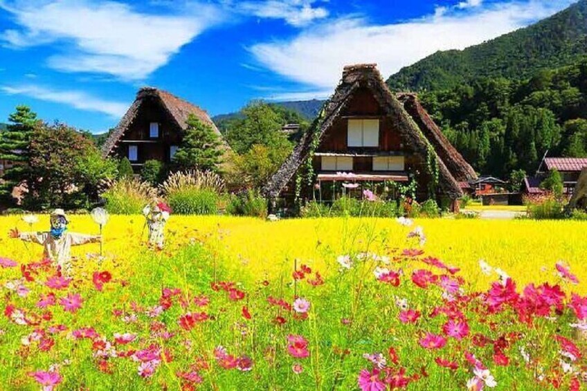 World Heritage Hida Takayama + Shirakawa-go Gassho Village