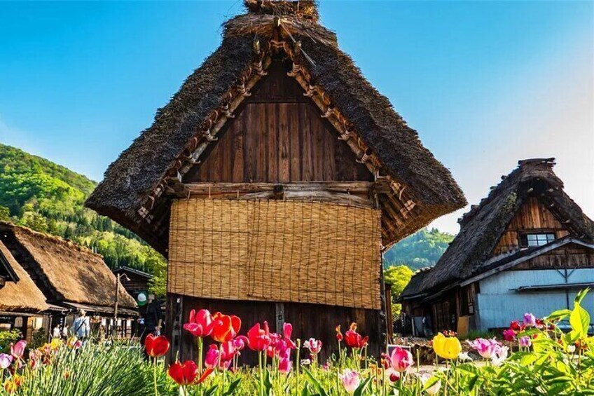 World Heritage Hida Takayama + Shirakawa-go Gassho Village