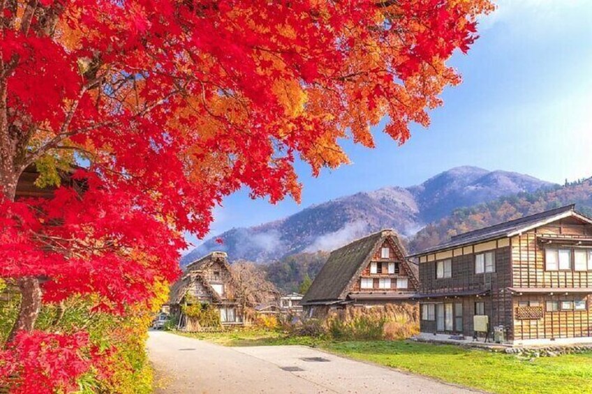 World Heritage Hida Takayama + Shirakawa-go Gassho Village