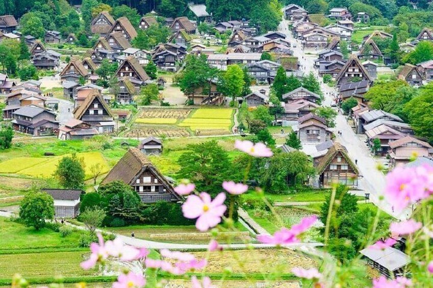 World Heritage Hida Takayama + Shirakawa-go Gassho Village