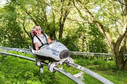 Berlin: Nature Bobsleigh Run Ticket