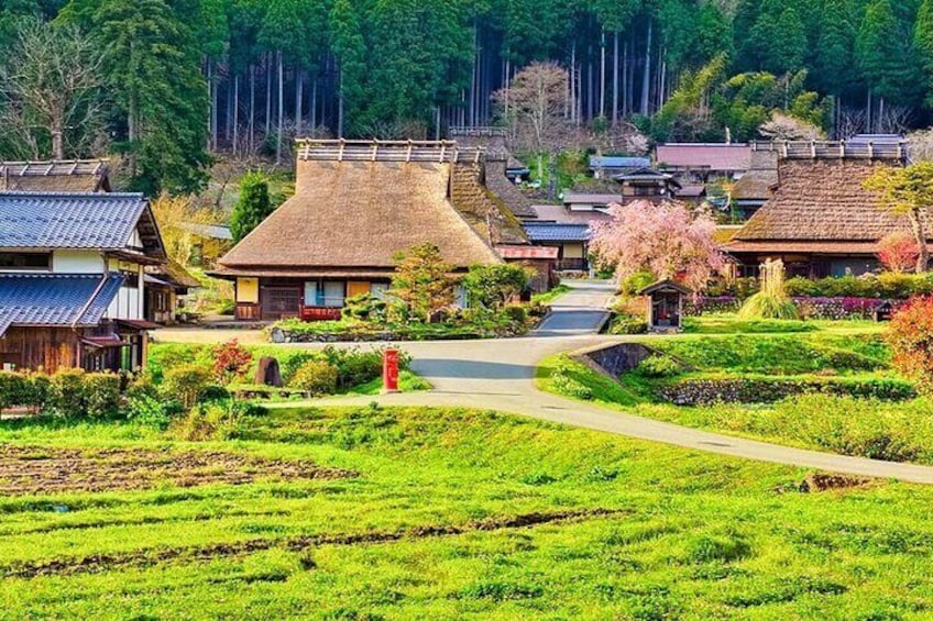 Amanohashidate, Ine Funaya &Miyama Thatched House Tour