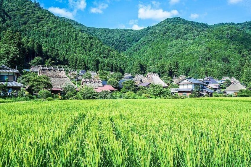Amanohashidate, Ine Funaya &Miyama Thatched House Tour