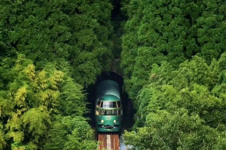 Yufuin no Mori Train Ride Experience
