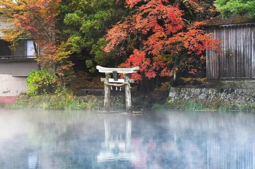 Hot springs flow from the west of Kinrin Lake, while clear water comes from the east. This temperature difference causes fog to rise over the water surface as temperatures drop.