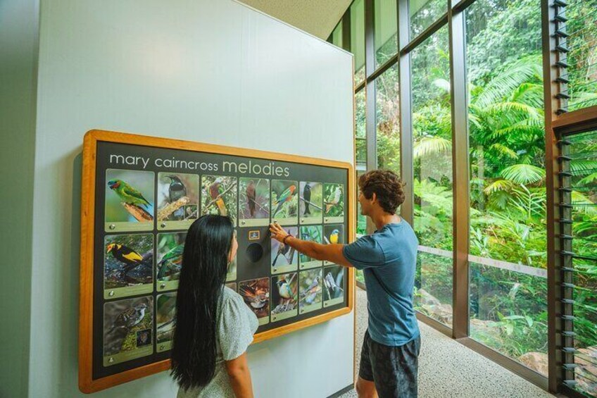 Mary Cairncross Scenic Reserve Rainforest Discovery Centre