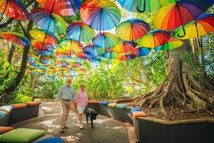 Sunshine Coast Hinterland Private Tour from Brisbane