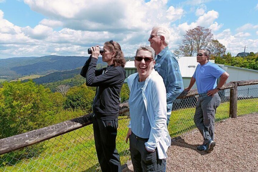 McCarthy's Lookout