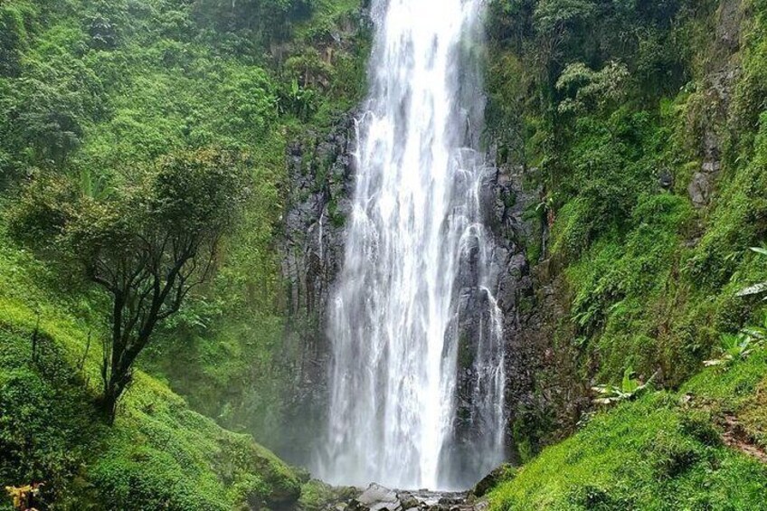 1 Day Materuni Waterfalls Coffee Tour and Chemka Hot Spring