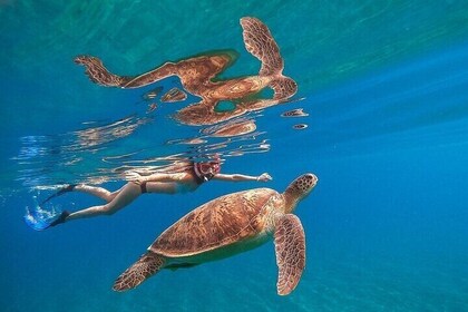 Private Abu Dabbab Snorkeling with Turtles Sea Trip - Hurghada