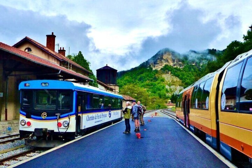 Tour with the Mountain Train, Trek to Mystic Forest and Castle