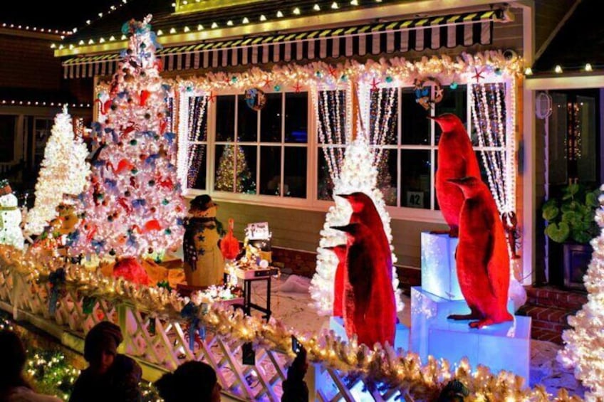 Holiday Lights Cruise Throughout Luxurious Newport Beach Harbor