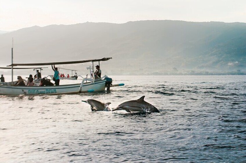 Full Day Fishing Tour at North Bali Indonesia 