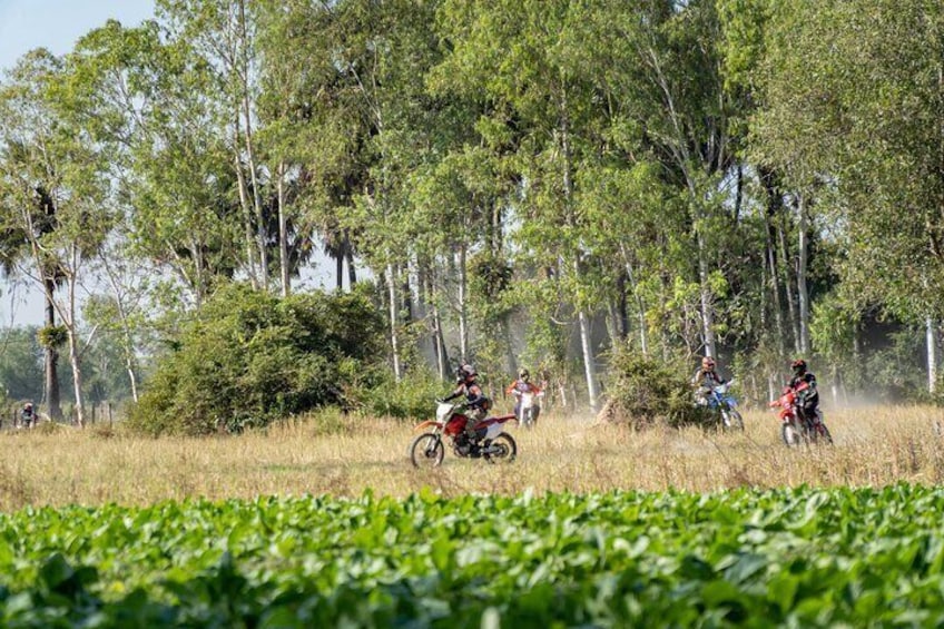 5 Days - Cambodia Ancient Trails & Jungle Temples 