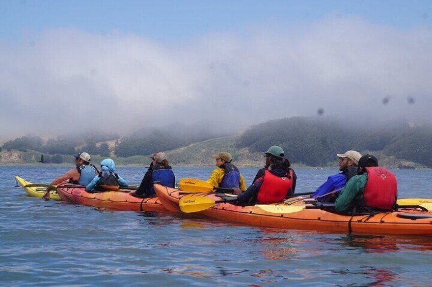 Explore Point Reyes by Sea Kayak