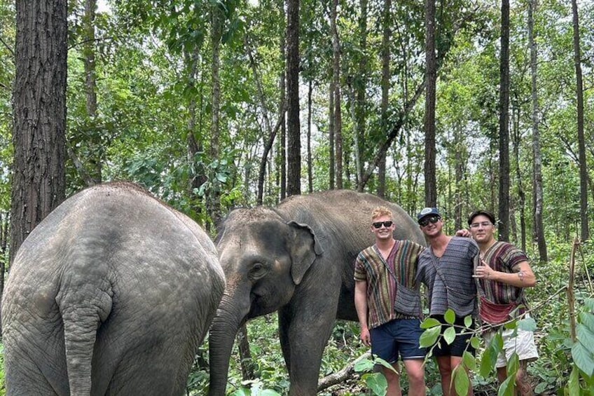 Half Day Elephant Sanctuary Tour at Doi Inthanon National Park