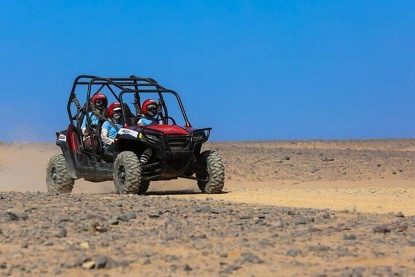 Exciting Buggy Adventure in Palmeraie with Transfers - Marrakesh