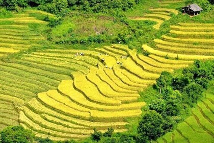 Sapa Trekking Sightseeing Private Tour With Female Ethnic Guide