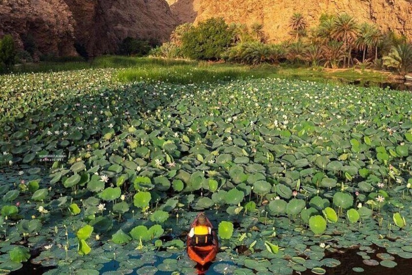 Wadi shab river