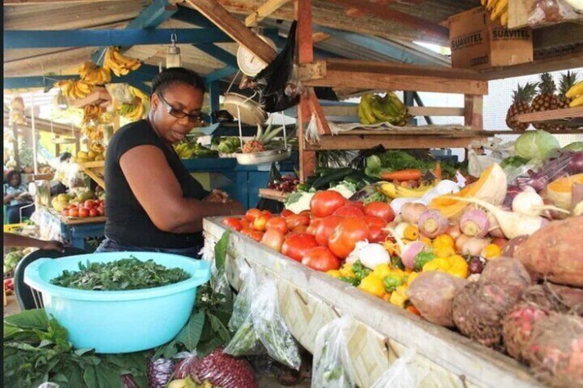 Half Day Group Tour in Montego Bay
