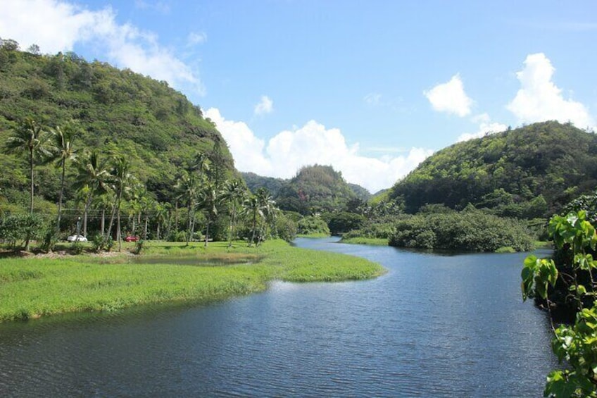 Waimea Valley