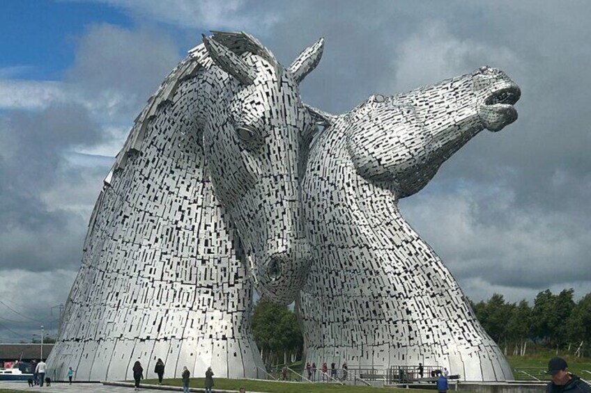 Highland Cows Glasgow Cathedral Murals Kelpies Half Day Tour