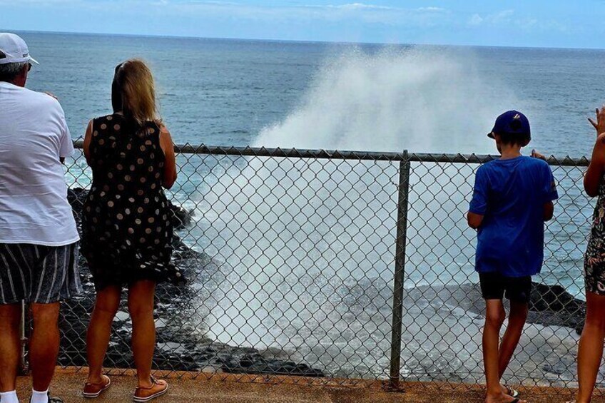 Opaeka'a falls, Spouting Horn, Tree Tunnel, Poipu Coast