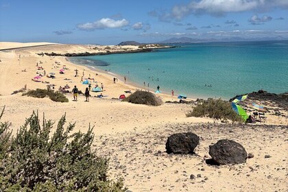 PRIVATE NORTHERN BEACH TOUR. Swim & snorkel fun included!