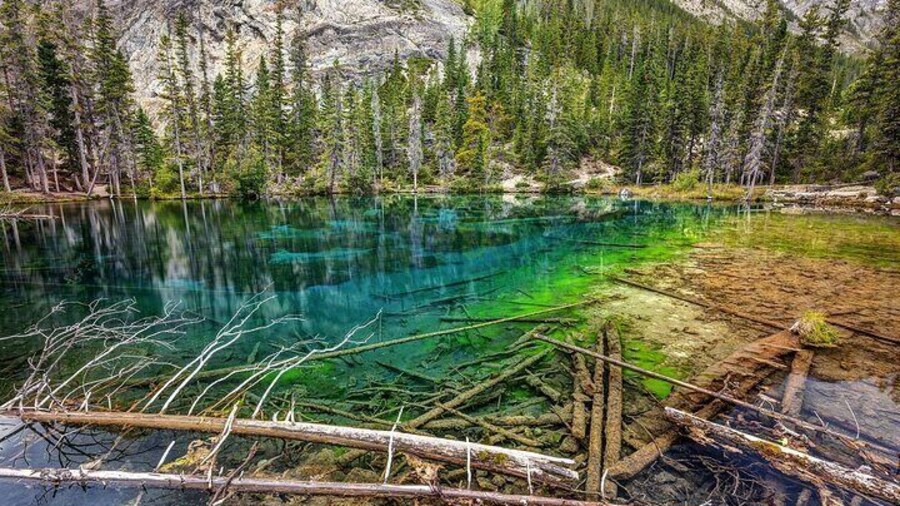 Grassi Lake and Grotto Canyon Icewalk from Calgary