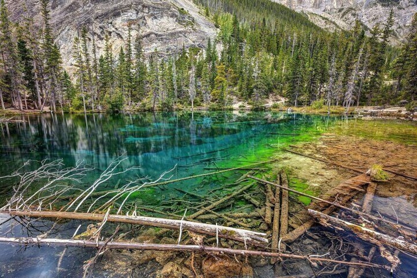 Winter Tour Grassi Lake and Grotto Canyon Icewalk from Calgary