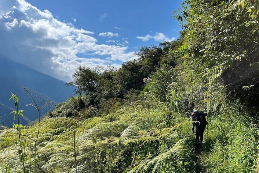 Choro Inka Trail from The Andes to the Jungle