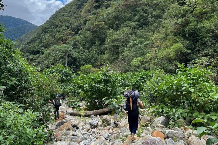 Choro Inka Trail from The Andes to the Jungle