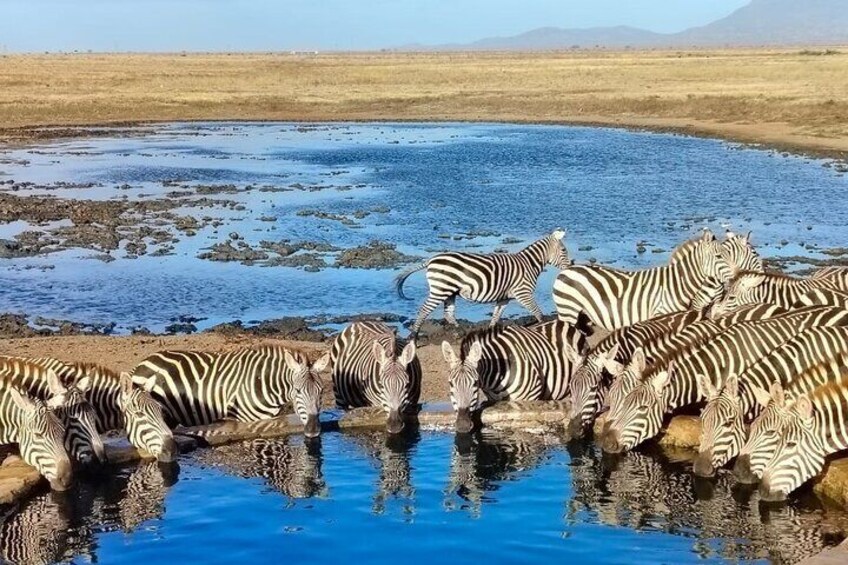 Elky Tours 2 Days Tsavo East Tour