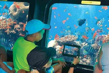 半潜水艦の旅、水中の不思議を探る：マルサ・アラム