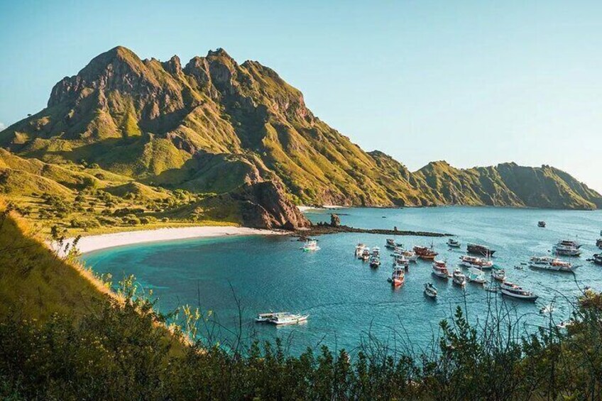 1 day boat trip Komodo