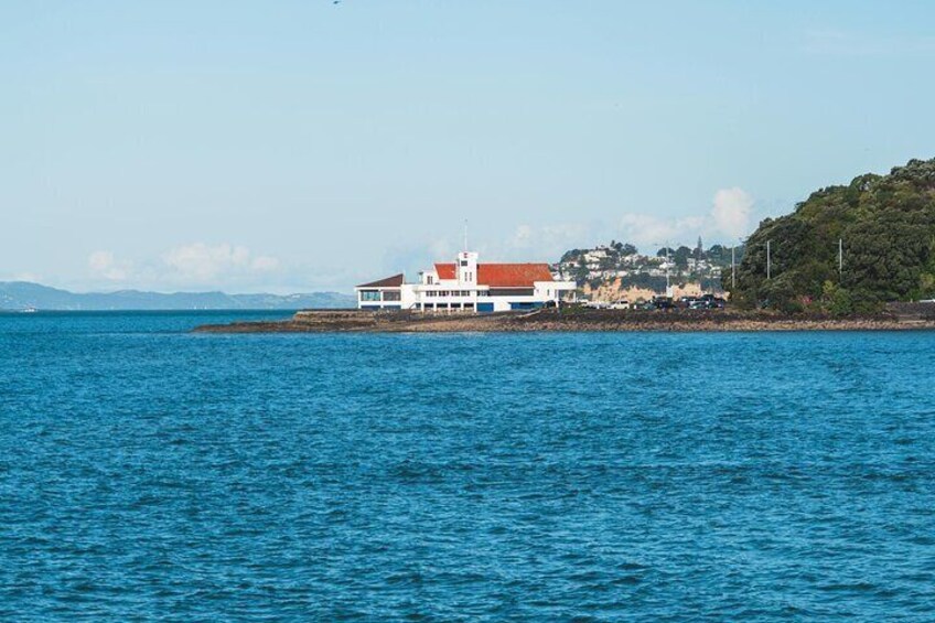 Explore Historic, Present and Future Auckland by Foot and Tesla 